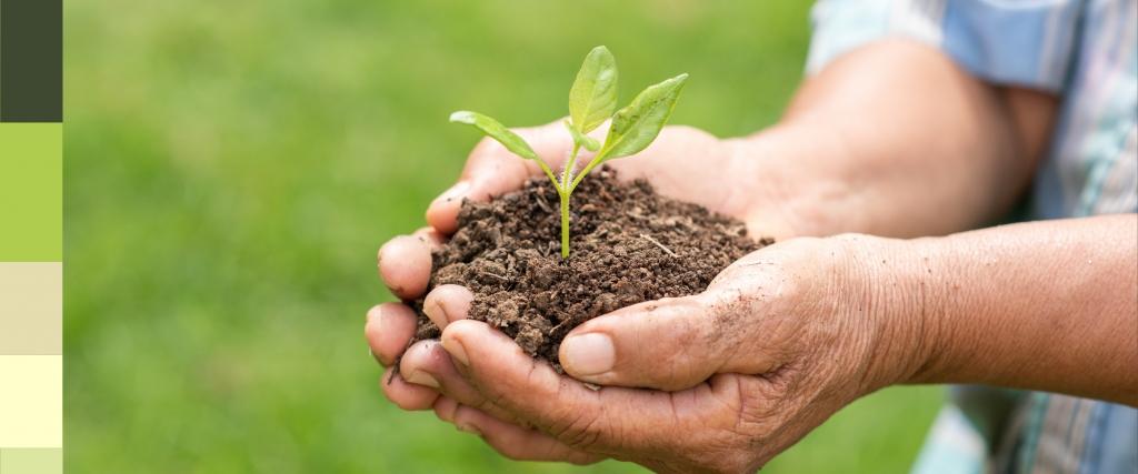 Imagem do post JÁ FEZ SEU PLANEJAMENTO DE FINAL DE ANO?